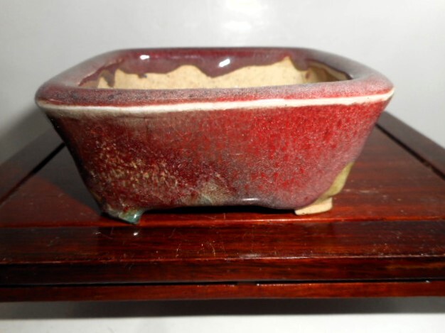 もくきん堂 秋 直/小鉢作家 辰砂釉長方浅鉢 w=8.8cm(鉢)|売買 もくきん堂 秋 直/小鉢作家 辰砂釉長方浅鉢 w=8.8cm(鉢)|売買
