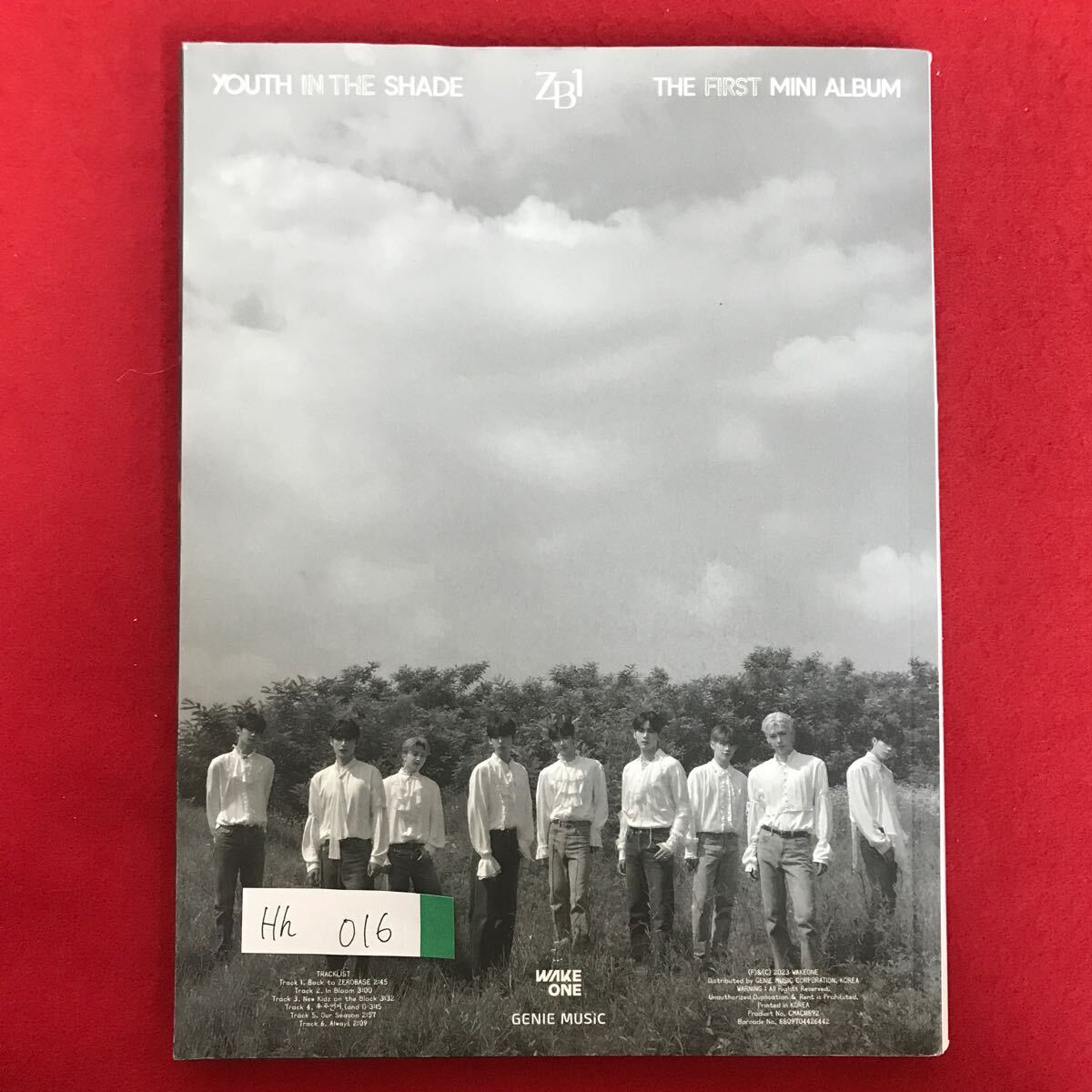 Hh-016 YOUTH IN THE SHADE THE FIRST MINI ALBUM 日陰の若者 ファーストミニアルバム 発行日詳細不明 詳細不明※L3 06822