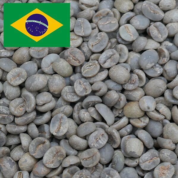 ブラジル ブルボン（BRAZIL BOURBON)　Qグレード　1キロ　 コーヒー生豆 珈琲生豆　ニューグロブ