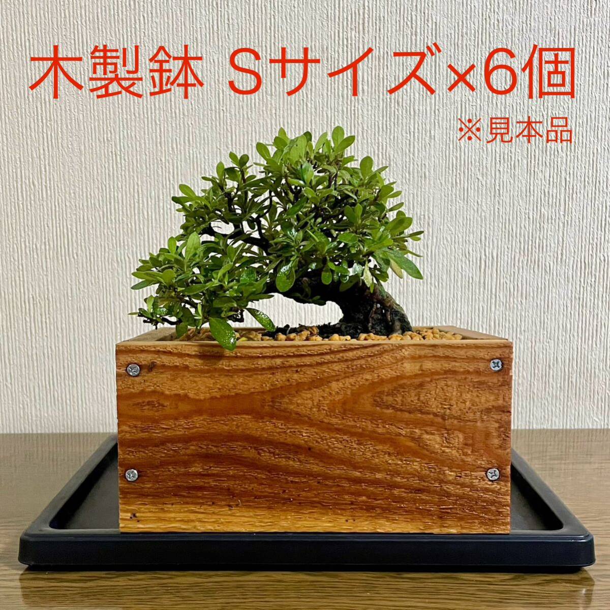木箱 木製鉢 5号 6点セット 盆栽鉢 植木鉢 小品 ミニ盆栽 観葉 木箱 木製鉢 5号 6点セット 盆栽鉢 植木鉢 小品 ミニ盆栽 観葉