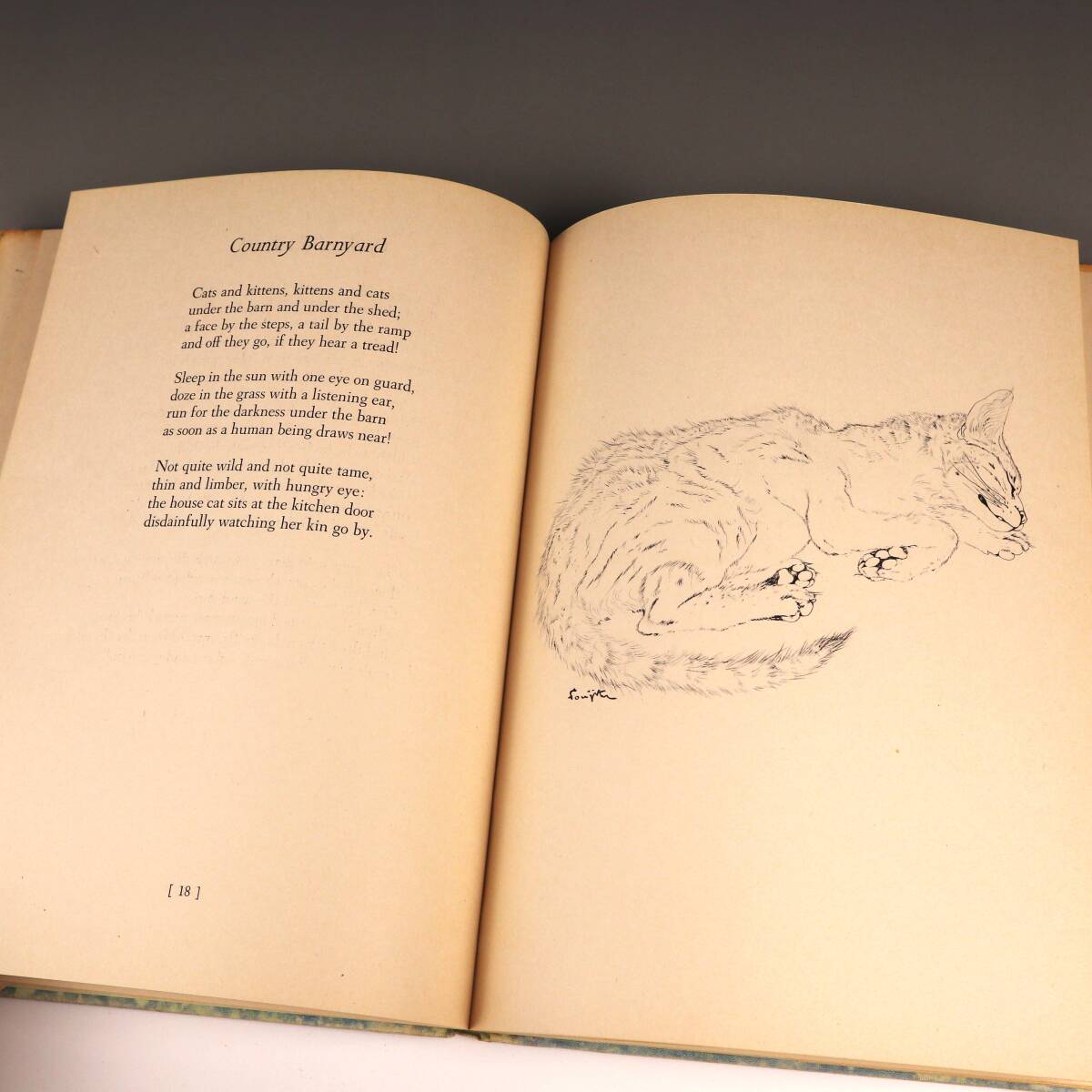 Bibian 比比昂- 超希少「NIGHT AND THE CAT」夜と猫藤田嗣治挿絵 Bibian 比比昂- 超希少「NIGHT AND THE CAT」夜と猫藤田嗣治挿絵