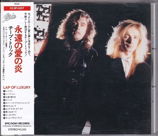 ■CD★チープ・トリック/永遠の愛の炎★CHEAP TRICK★32・8P-5017★国内盤・帯付■