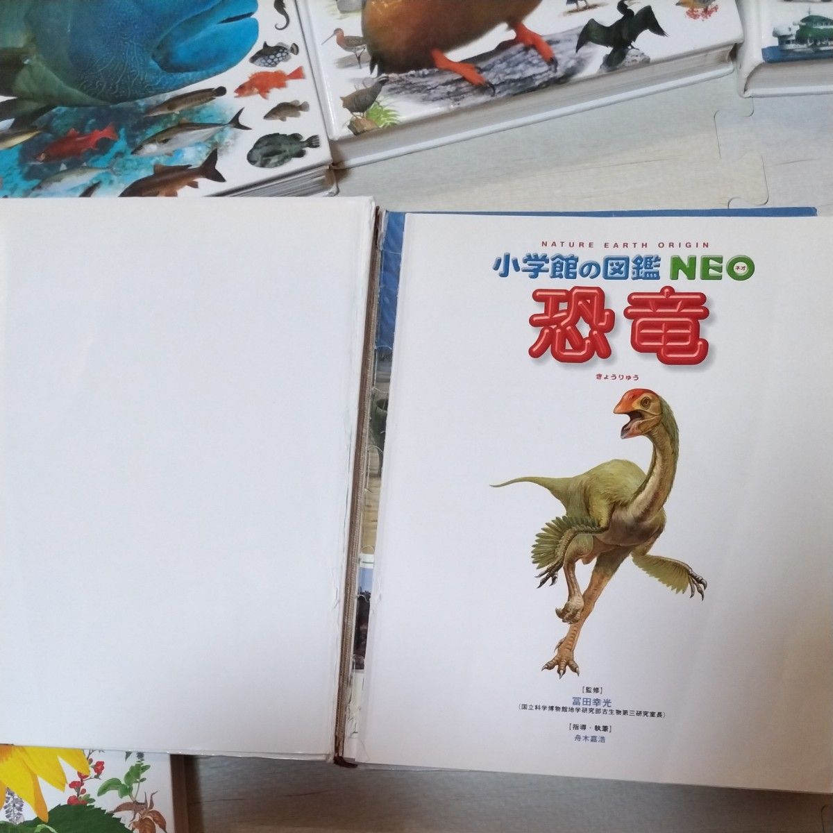 小学館の図鑑NEO 昆虫 魚 鳥 植物 動物 乗りもの 恐竜 7冊 小学館の図鑑NEO 昆虫 魚 鳥 植物 動物 乗りもの 恐竜 7冊