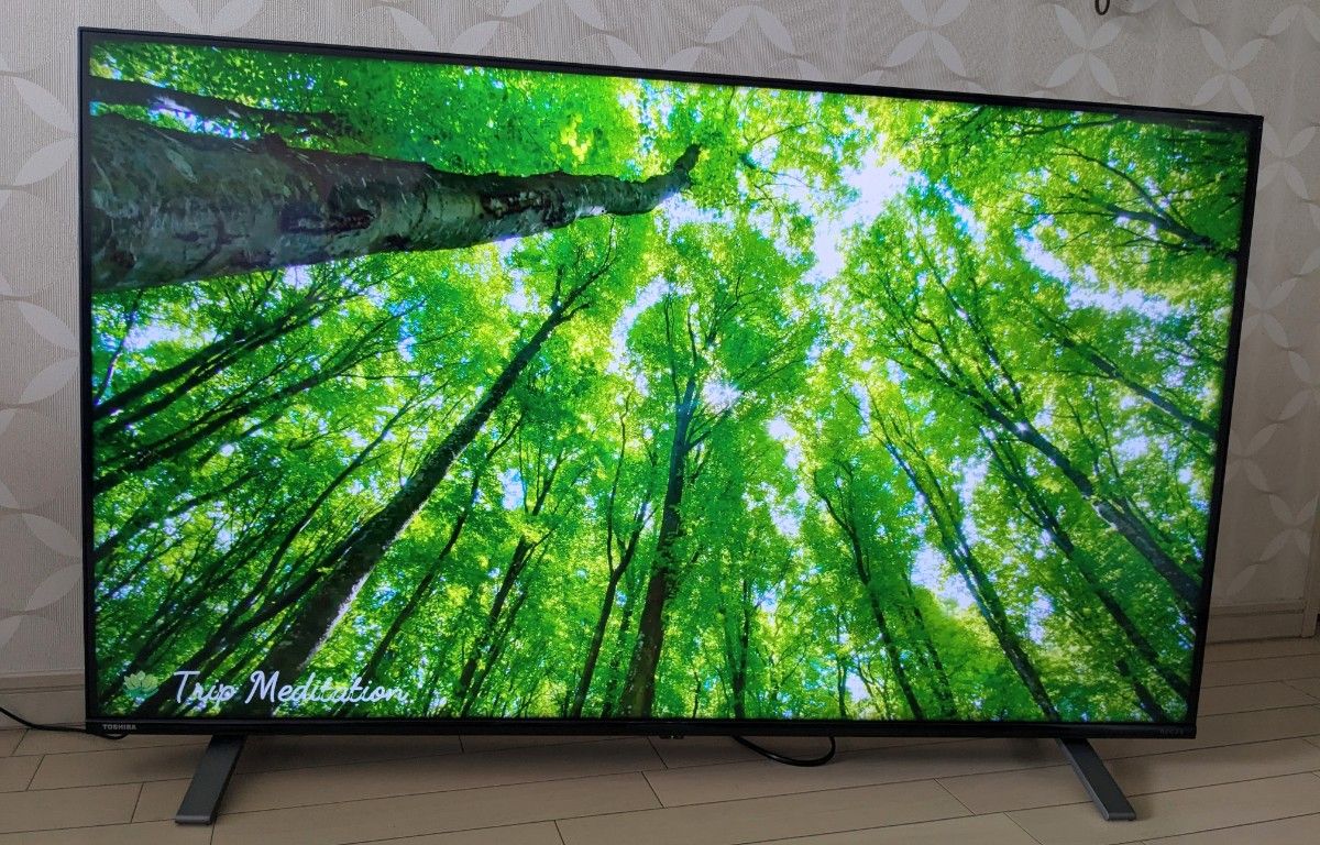 TOSHIBA REGZA 50C350X 4K液晶テレビ 美品 2023年製|Yahoo TOSHIBA REGZA 50C350X 4K液晶テレビ 美品 2023年製|Yahoo