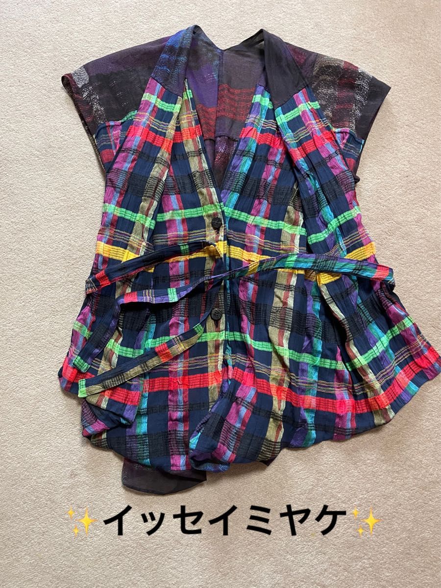 未着用 イッセイミヤケ カットソー ブラウス ジレ プリーツ 未着用 イッセイミヤケ カットソー ブラウス ジレ プリーツ