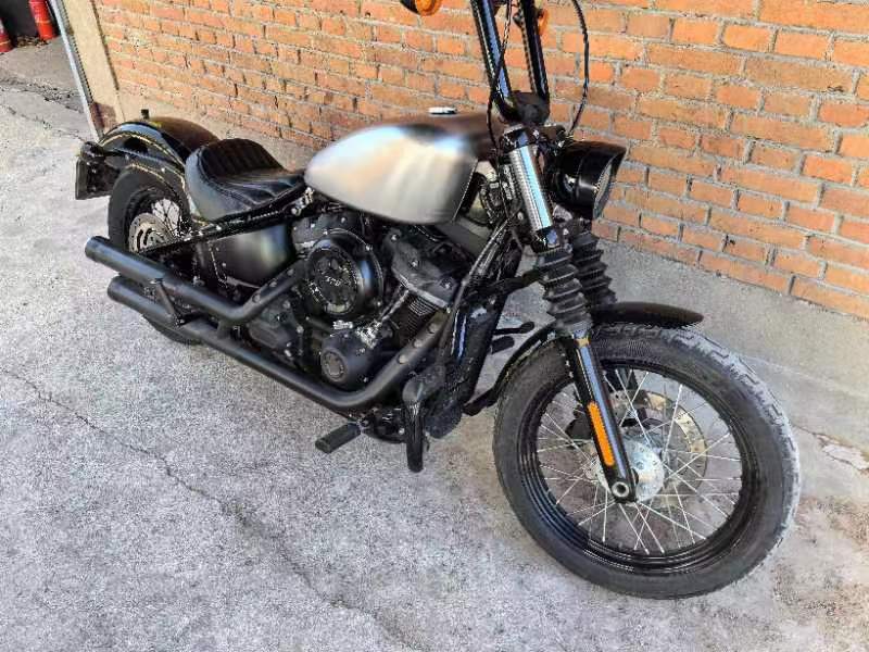 T-181 12L ハーレー ソフテイル 2019~2024年用 スポーツ T-181 12L ハーレー ソフテイル 2019~2024年用 スポーツ