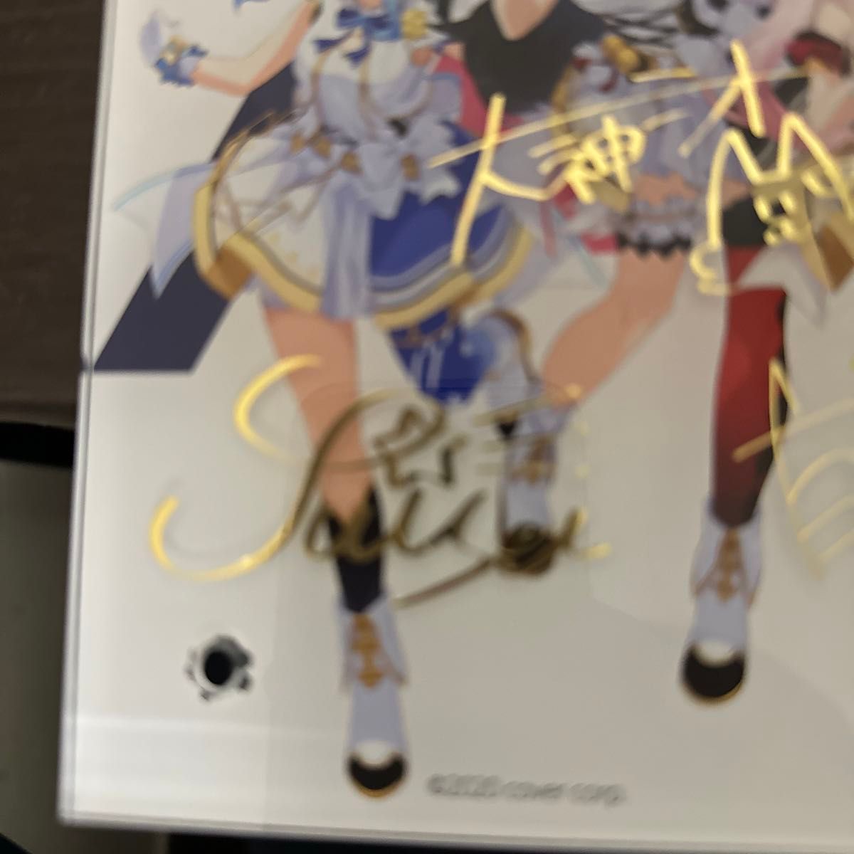 ホロライブ記念アクリルパネル【ホロライブ1st fes ノンストップ ホロライブ記念アクリルパネル【ホロライブ1st fes ノンストップ
