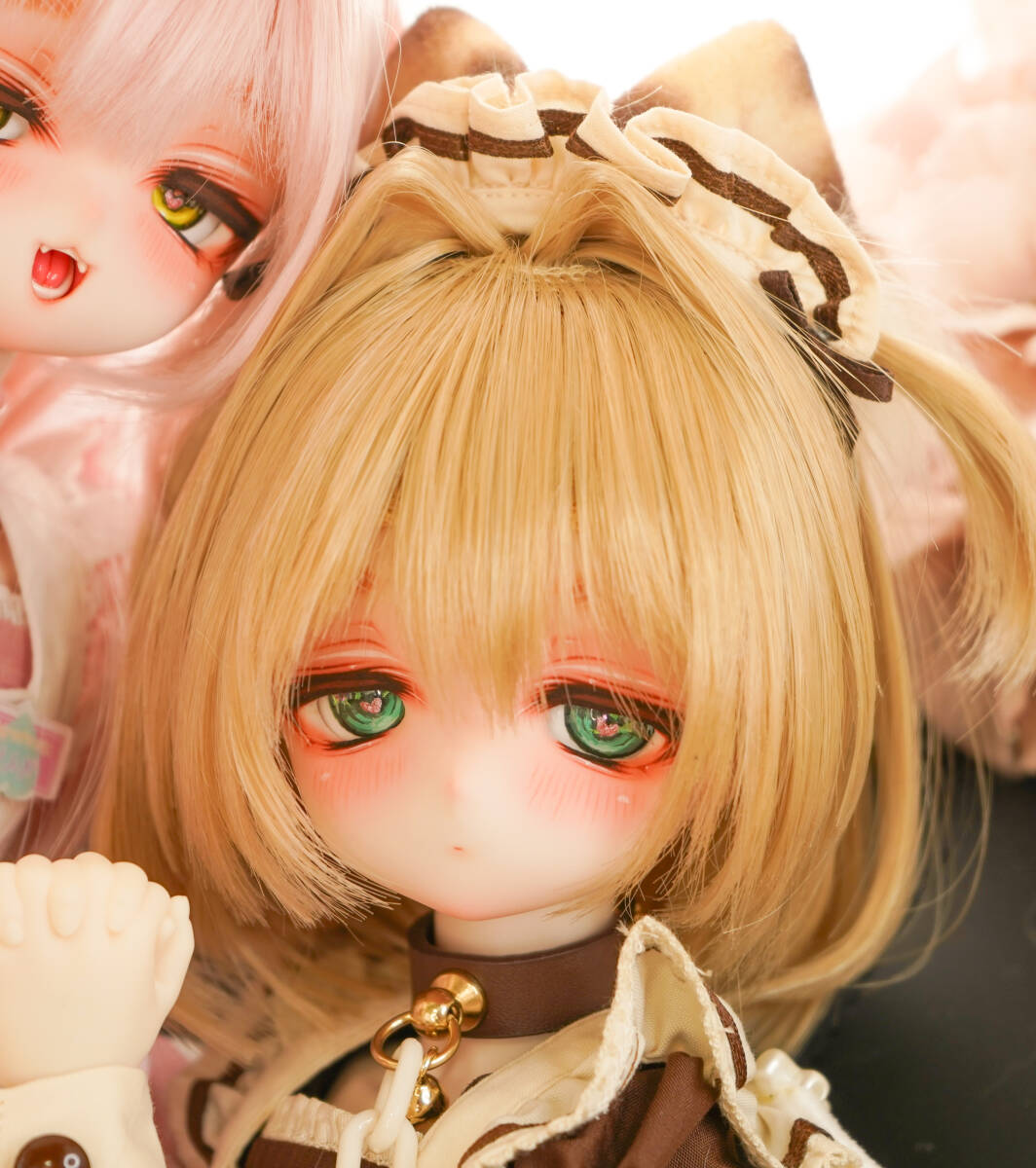 Yahoo!オークション - ラビオレ DDH-01セミホワイト カスタム Yahoo!オークション - ラビオレ DDH-01セミホワイト カスタム