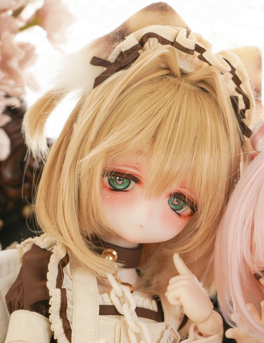 Yahoo!オークション - ラビオレ DDH-01セミホワイト カスタム Yahoo!オークション - ラビオレ DDH-01セミホワイト カスタム