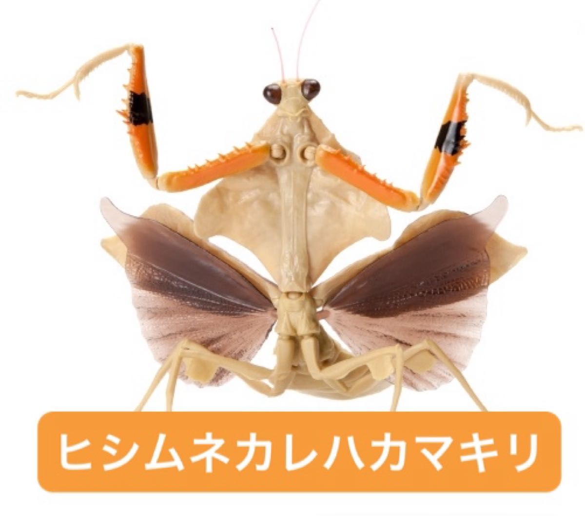 新品 ヒシムネカレハカマキリ(ライトブラウン) いきもの大図鑑 新品 ヒシムネカレハカマキリ(ライトブラウン) いきもの大図鑑