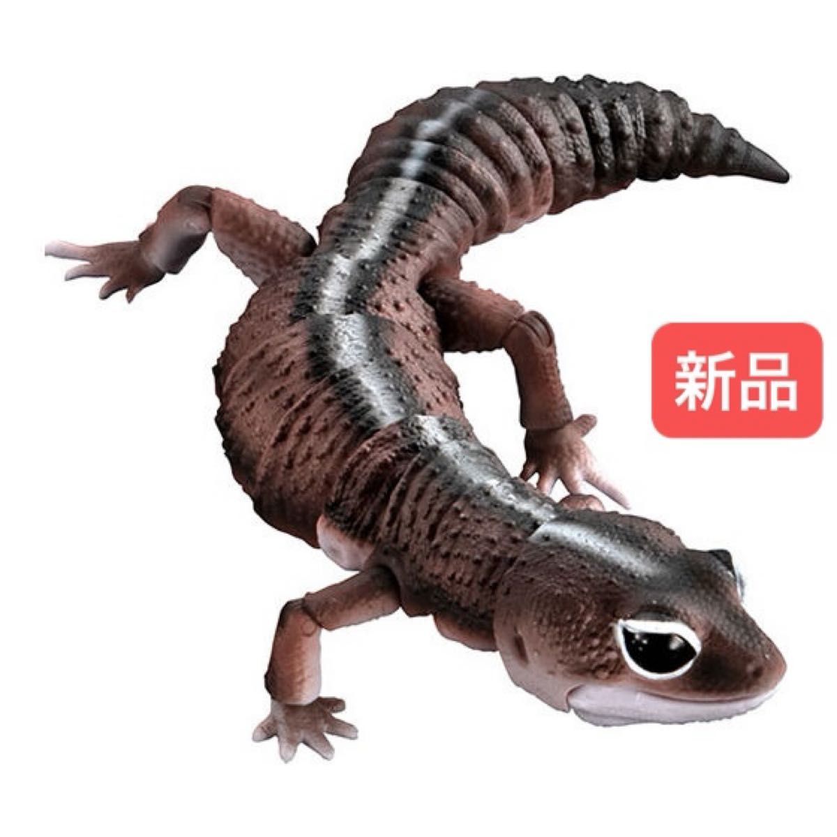 新品 ニシアフリカトカゲモドキ(パターンレスストライプ 新品 ニシアフリカトカゲモドキ(パターンレスストライプ