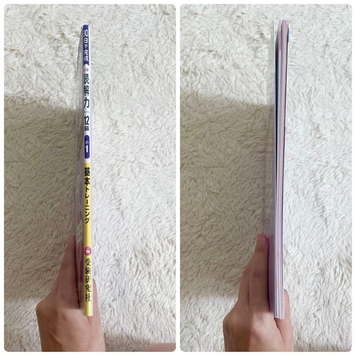美品 小学基本トレーニング国語読解力 12級 小学教育研究会 美品 小学基本トレーニング国語読解力 12級 小学教育研究会