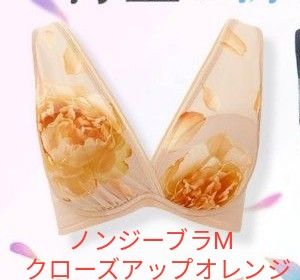 新色クローズアップオレンジ ノンジーブラ Mサイズ ドクター 新色クローズアップオレンジ ノンジーブラ Mサイズ ドクター