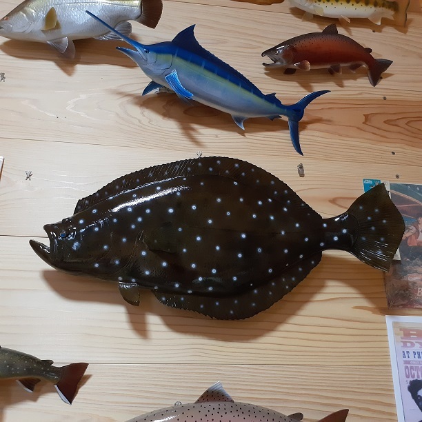 レプリカ 座布団 ヒラメ 67cm / 平目 船釣り レプリカ 座布団 ヒラメ 67cm / 平目 船釣り