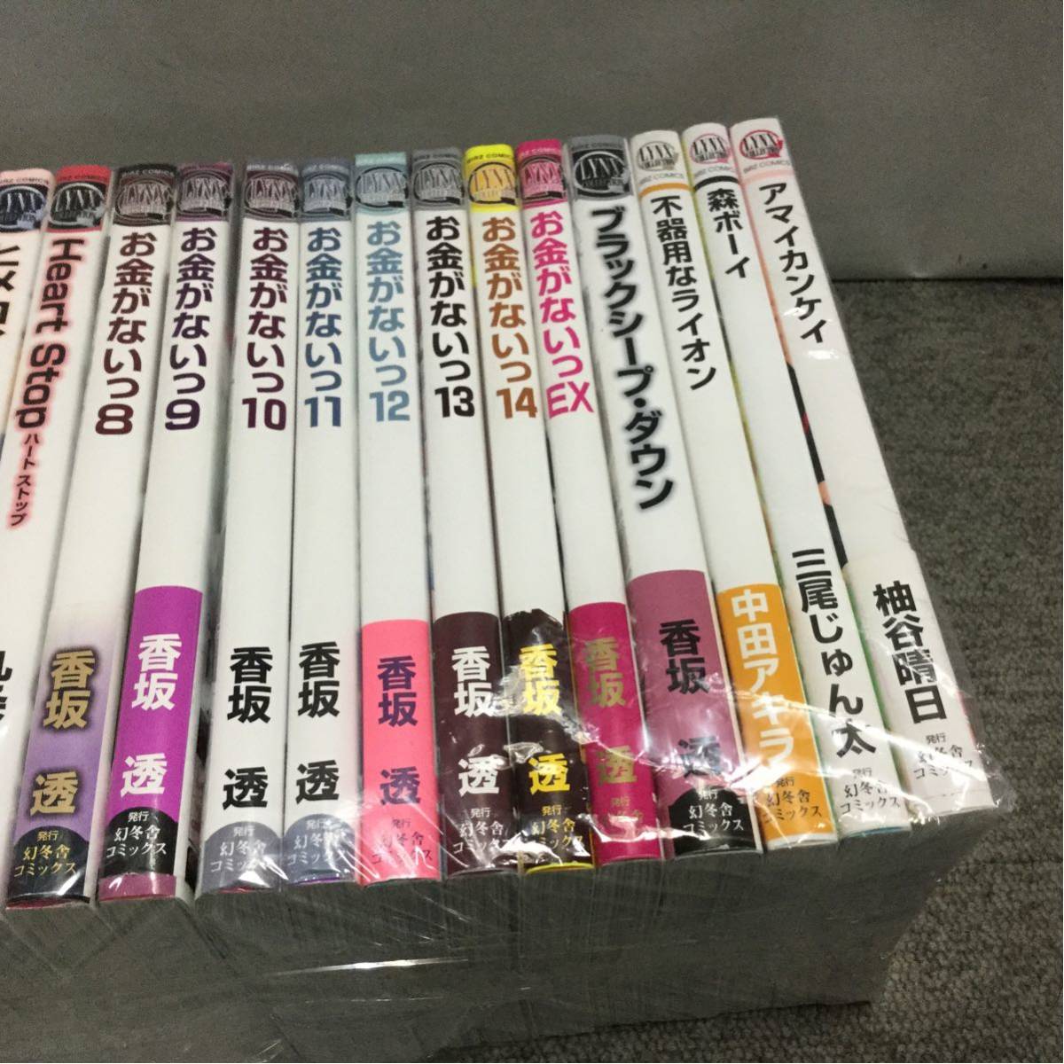 LYNXコミックス 19冊セット BL 幻冬舎 リンクスコミックス レディースコミック_画像4