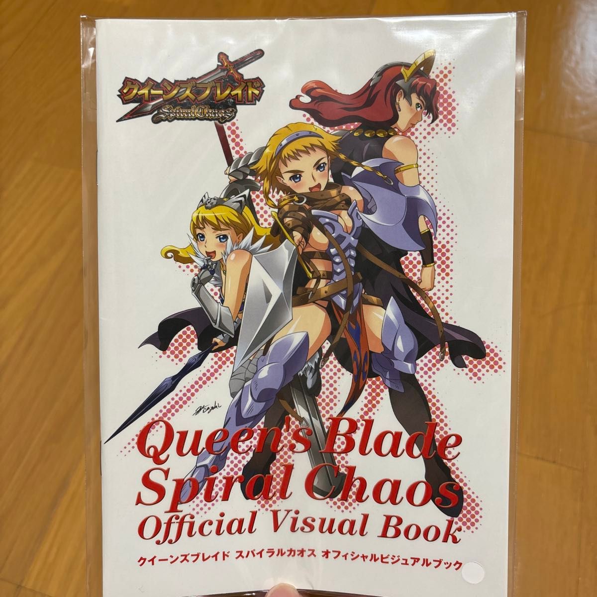 クイーンズブレイド スパイラルカオス PSP ビジュアルブック クイーンズブレイド スパイラルカオス PSP ビジュアルブック