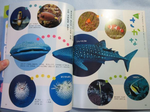 item_image_6