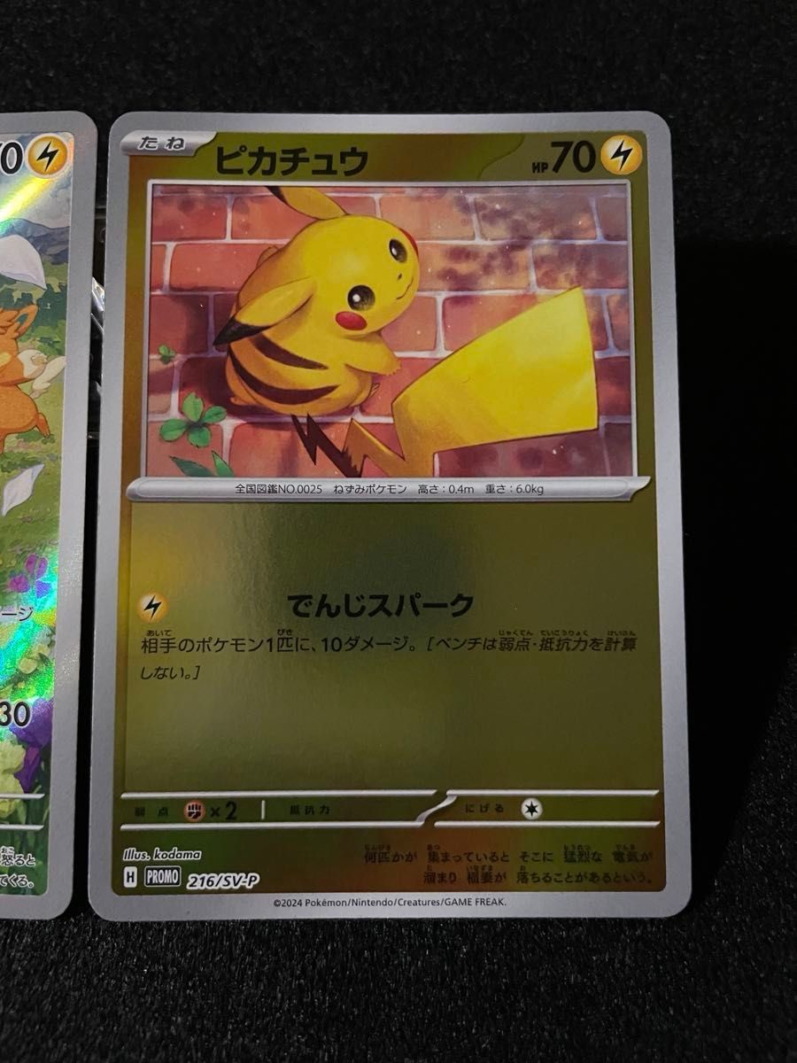 ポケカの夏がキタ プロモゲットキャンペーン 2024 プロモ ポケカの夏がキタ プロモゲットキャンペーン 2024 プロモ
