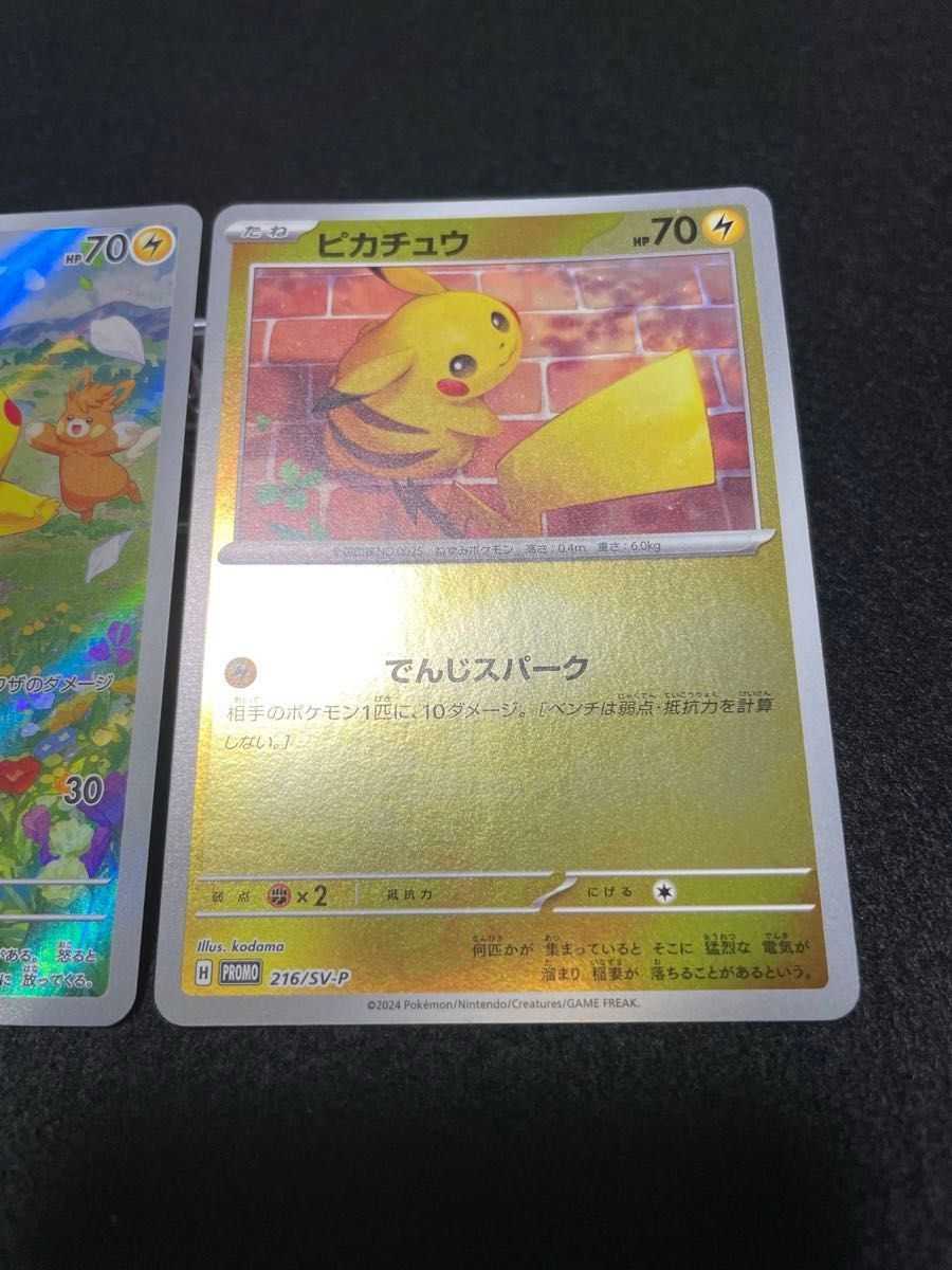 ポケカの夏がキタ プロモゲットキャンペーン 2024 プロモ ポケカの夏がキタ プロモゲットキャンペーン 2024 プロモ