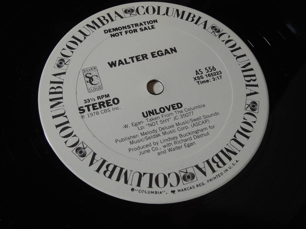 Walter Egan・Unloved　US promo12”_9082507