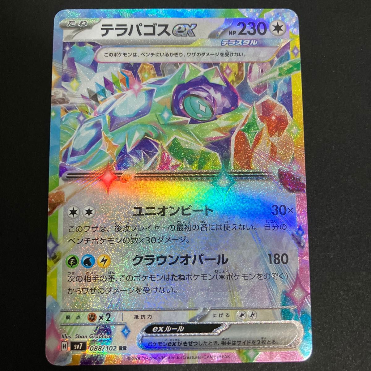 ポケモンカード テラパゴスex RR|Yahoo!フリマ(旧PayPayフリマ) ポケモンカード テラパゴスex RR|Yahoo!フリマ(旧PayPayフリマ)