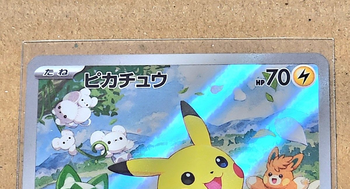 ポケモンカード ポケカの夏がキタ プロモカードGetキャンペーン ポケモンカード ポケカの夏がキタ プロモカードGetキャンペーン