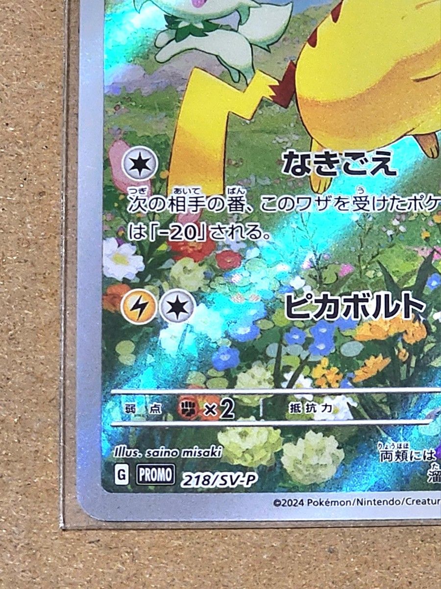 ポケモンカード ポケカの夏がキタ プロモカードGetキャンペーン ポケモンカード ポケカの夏がキタ プロモカードGetキャンペーン