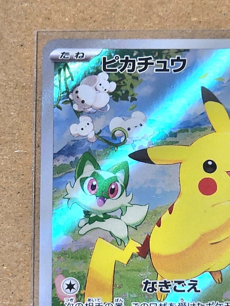 ポケモンカード ポケカの夏がキタ プロモカードGetキャンペーン ポケモンカード ポケカの夏がキタ プロモカードGetキャンペーン