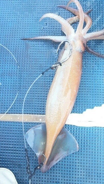 item_image_4