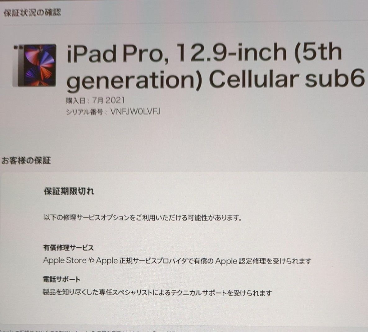 iPad Pro 12 9インチ 第5世代 Cellular + Wi-Fi 128GB スペース iPad Pro 12 9インチ 第5世代 Cellular + Wi-Fi 128GB スペース