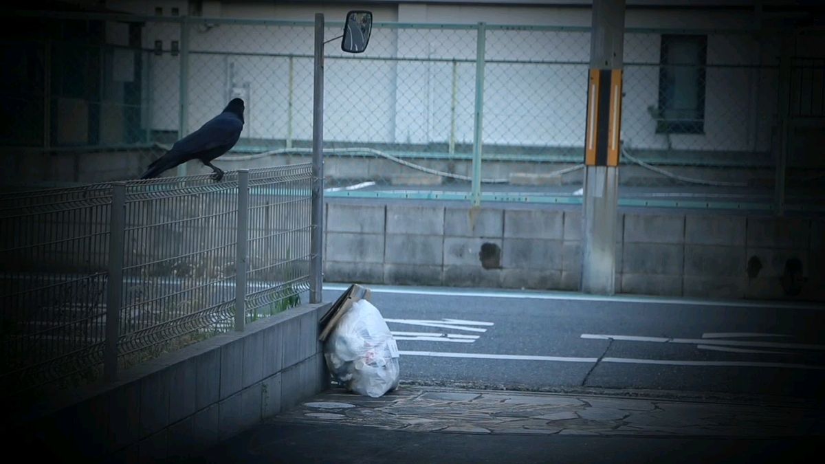 キーパーウェイ (カラスよけ、カラス対策、カラス避け、ごみ袋、ゴミ袋、忌避効果)