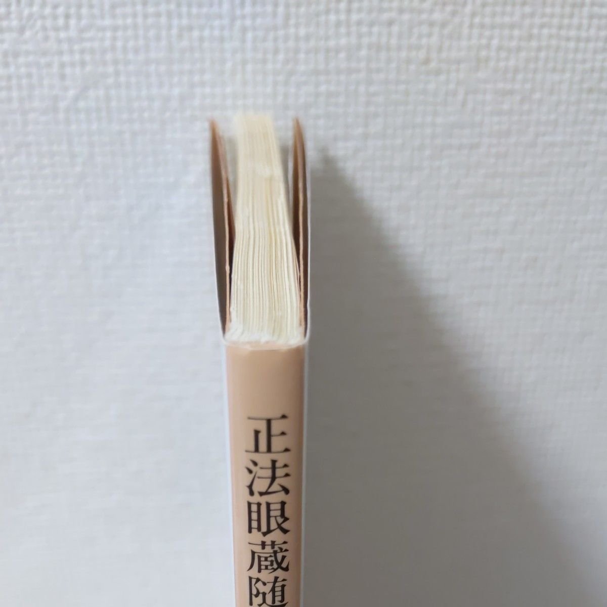 正法眼蔵 (岩波文庫) 道元/著 水野弥穂子/校注 4冊全巻&正法 正法眼蔵 (岩波文庫) 道元/著 水野弥穂子/校注 4冊全巻&正法