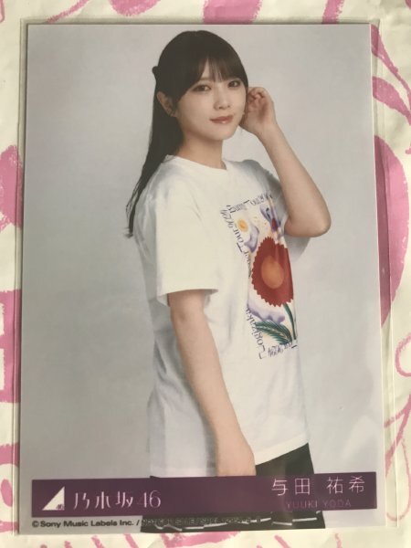 . рисовое поле .. life photograph chi-totei Nogizaka 46 твердость с футляром 