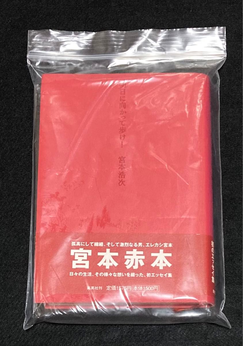 宮本浩次 『明日に向かって歩け 』エレファントカシマシ 宮本浩次 『明日に向かって歩け 』エレファントカシマシ