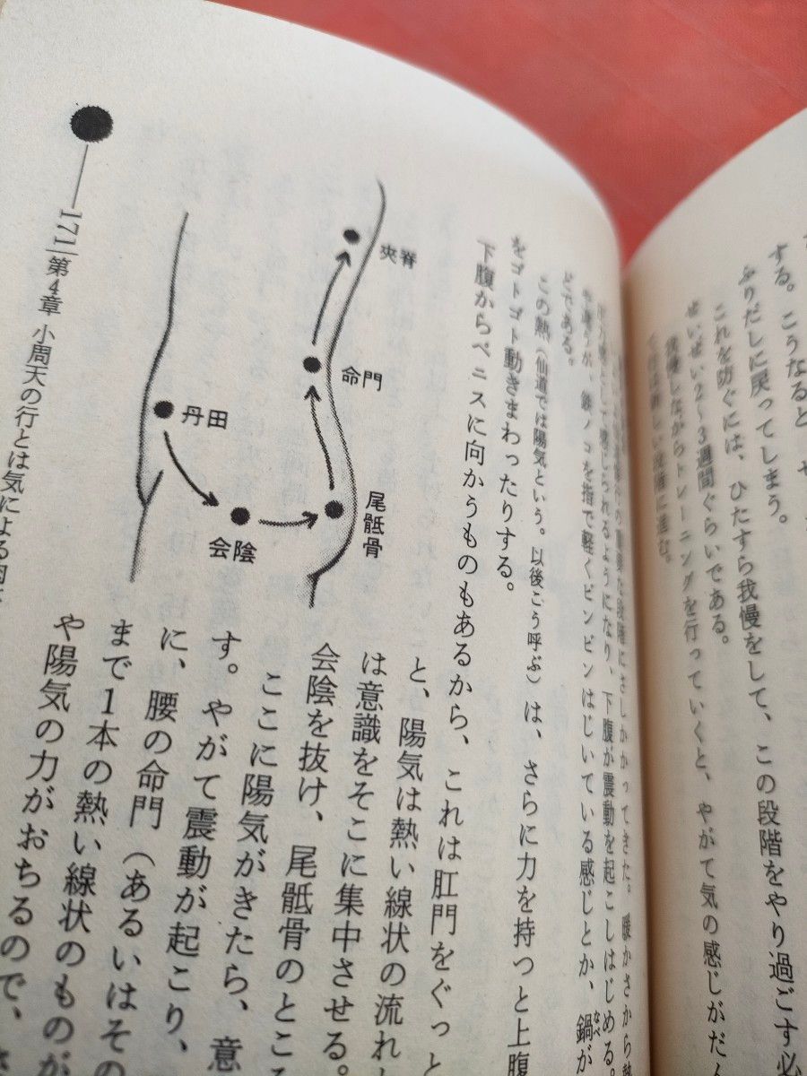 秘法超能力仙道入門 高藤聡一郎著|Yahoo!フリマ(旧PayPayフリマ) 秘法超能力仙道入門 高藤聡一郎著|Yahoo!フリマ(旧PayPayフリマ)