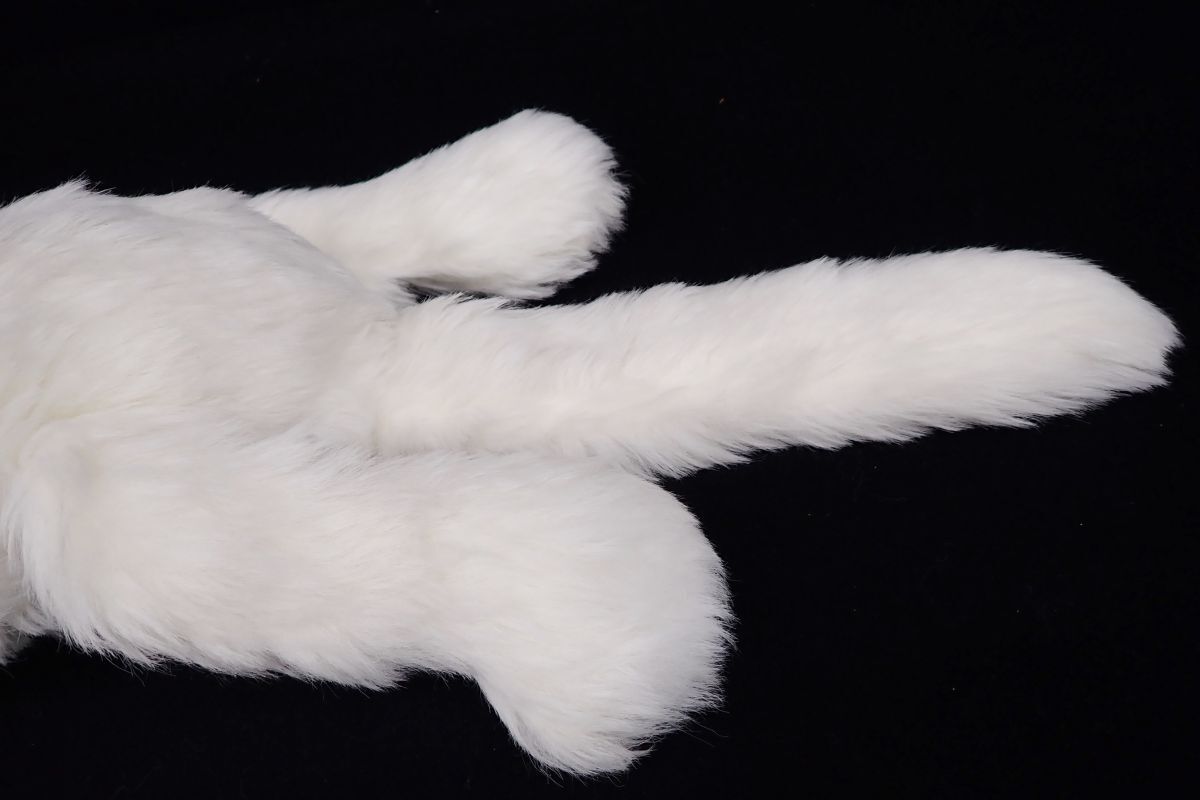 ◇oike 昭和レトロ 猫 ぬいぐるみ 全長67㎝◇オオイケ/ペルシャ ◇oike 昭和レトロ 猫 ぬいぐるみ 全長67㎝◇オオイケ/ペルシャ