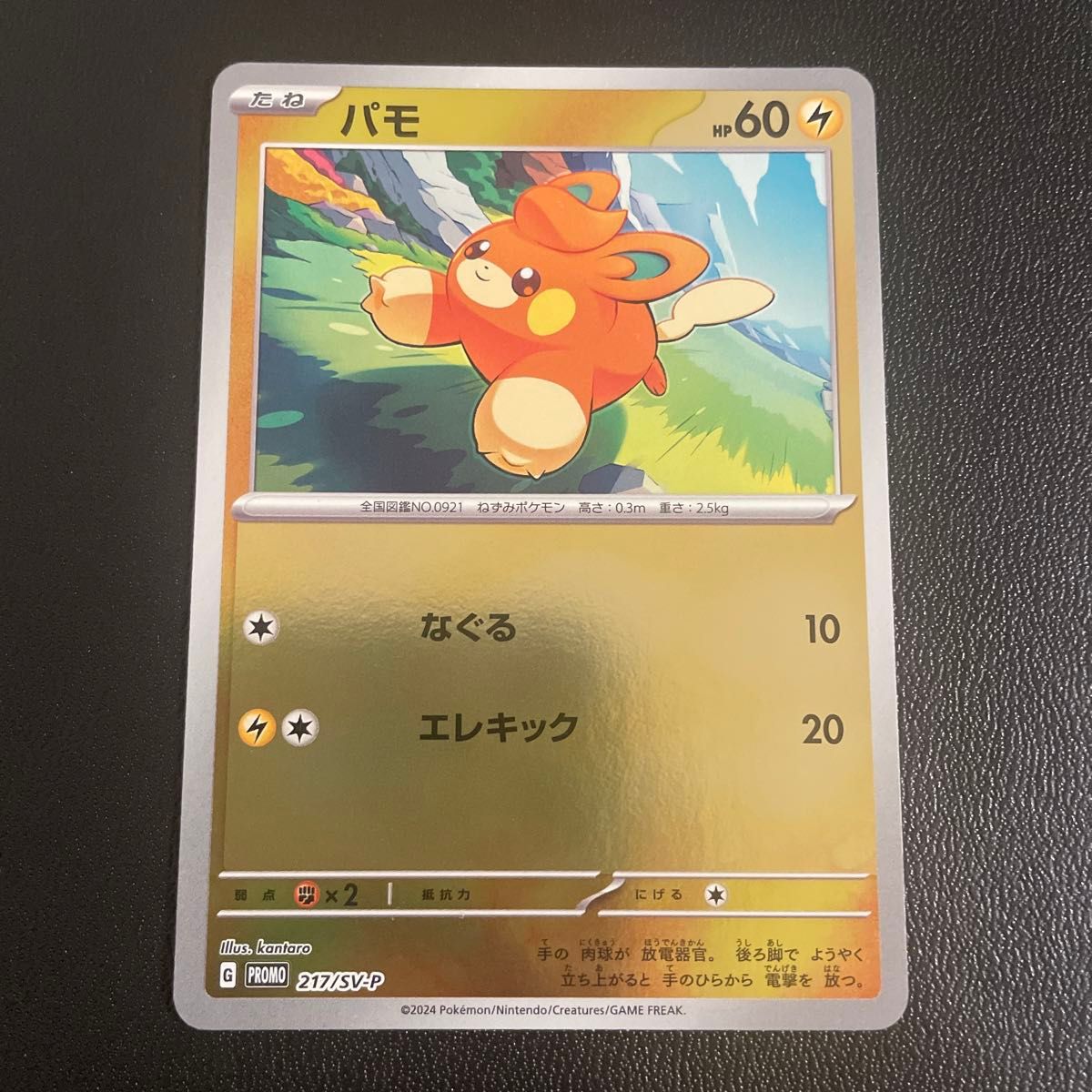ポケモンカード ポケカの夏がキタ プロモ全6種 コンプリート ポケモンカード ポケカの夏がキタ プロモ全6種 コンプリート
