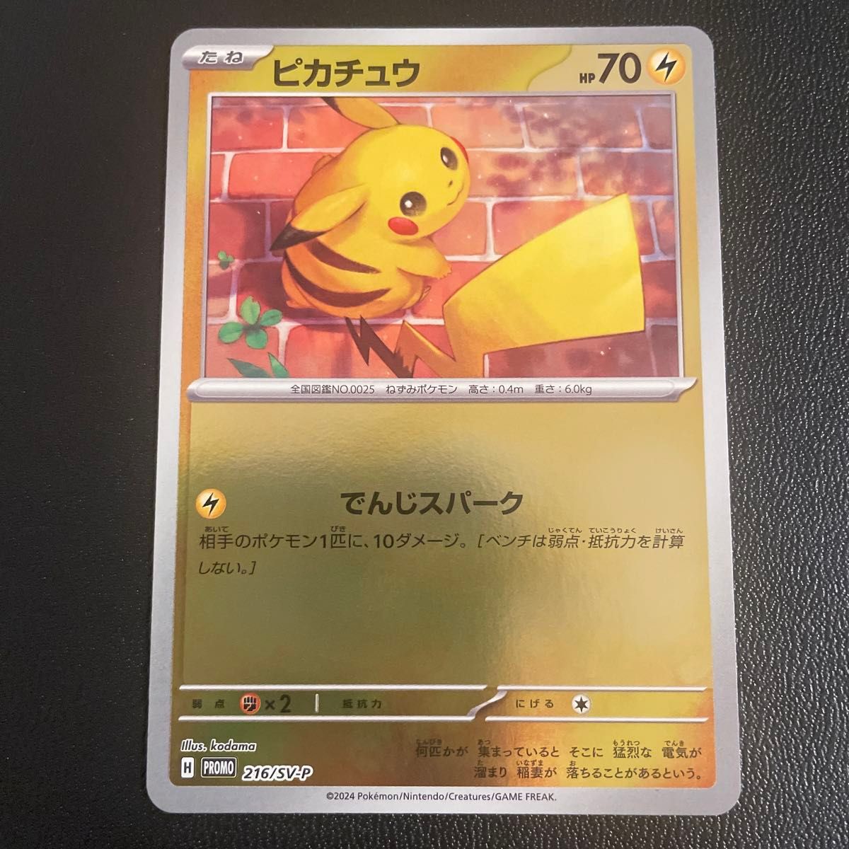 ポケモンカード ポケカの夏がキタ プロモ全6種 コンプリート ポケモンカード ポケカの夏がキタ プロモ全6種 コンプリート