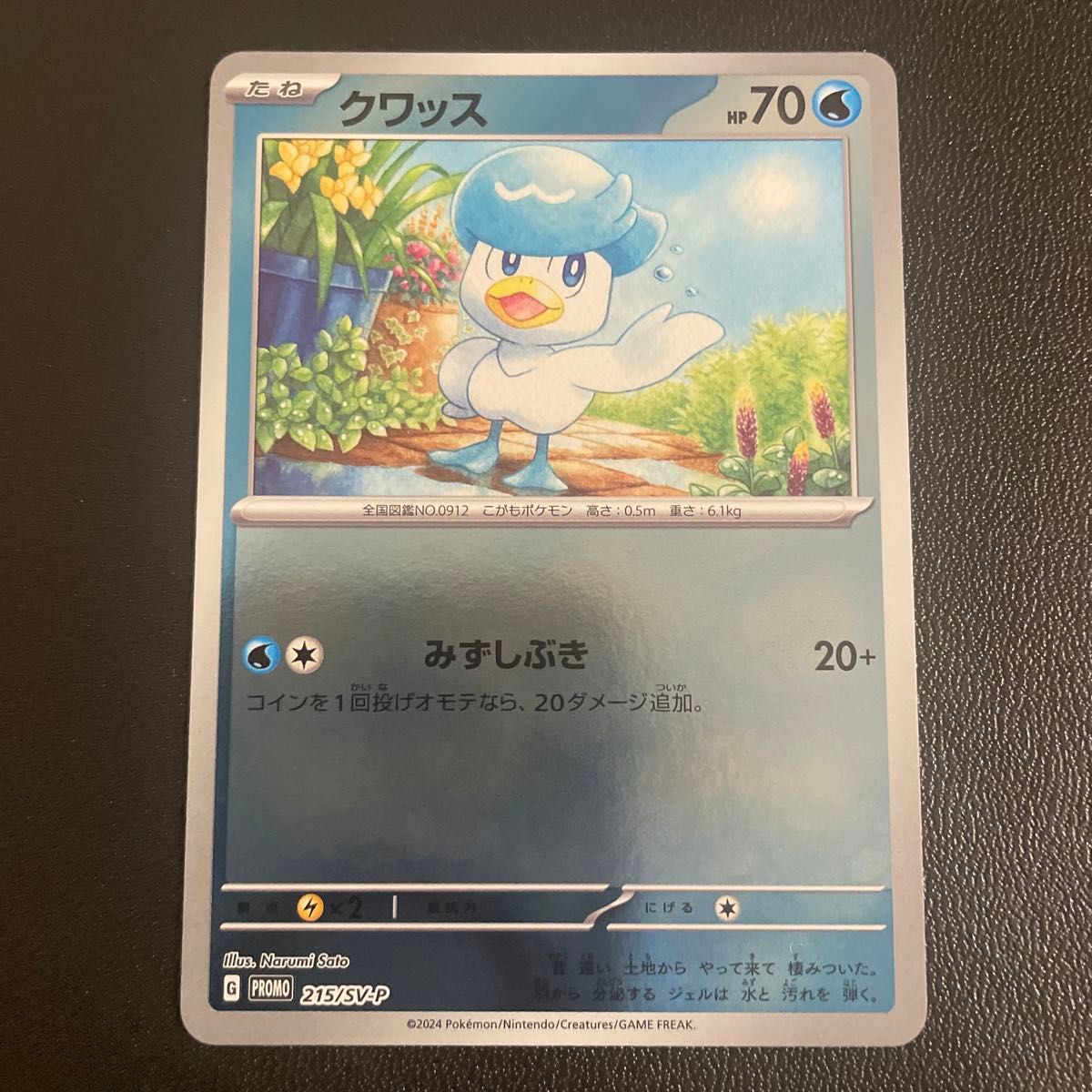 ポケモンカード ポケカの夏がキタ プロモ全6種 コンプリート ポケモンカード ポケカの夏がキタ プロモ全6種 コンプリート