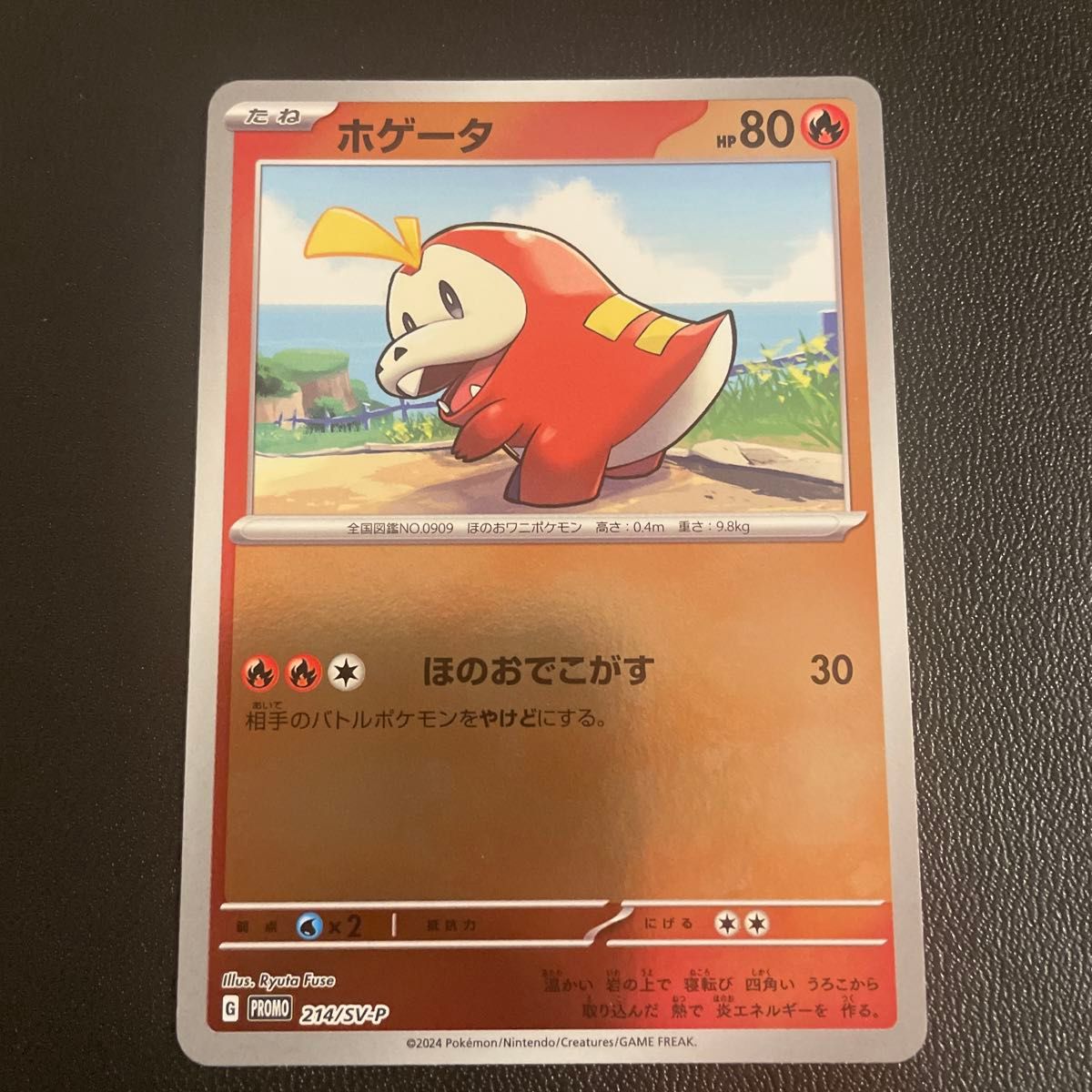 ポケモンカード ポケカの夏がキタ プロモ全6種 コンプリート ポケモンカード ポケカの夏がキタ プロモ全6種 コンプリート
