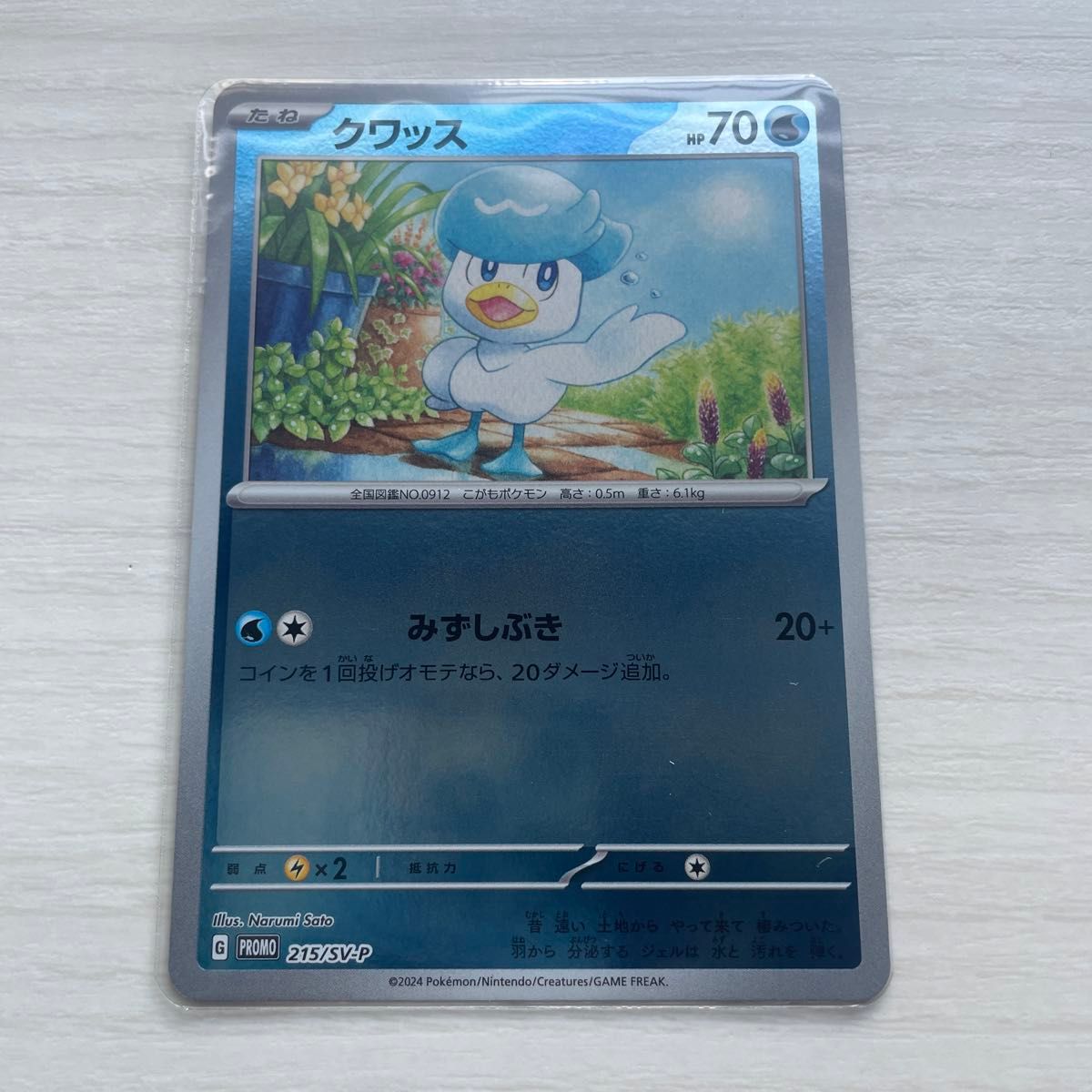 ポケモンカード ポケカの夏がキタ プロモ 4枚セット|Yahoo ポケモンカード ポケカの夏がキタ プロモ 4枚セット|Yahoo