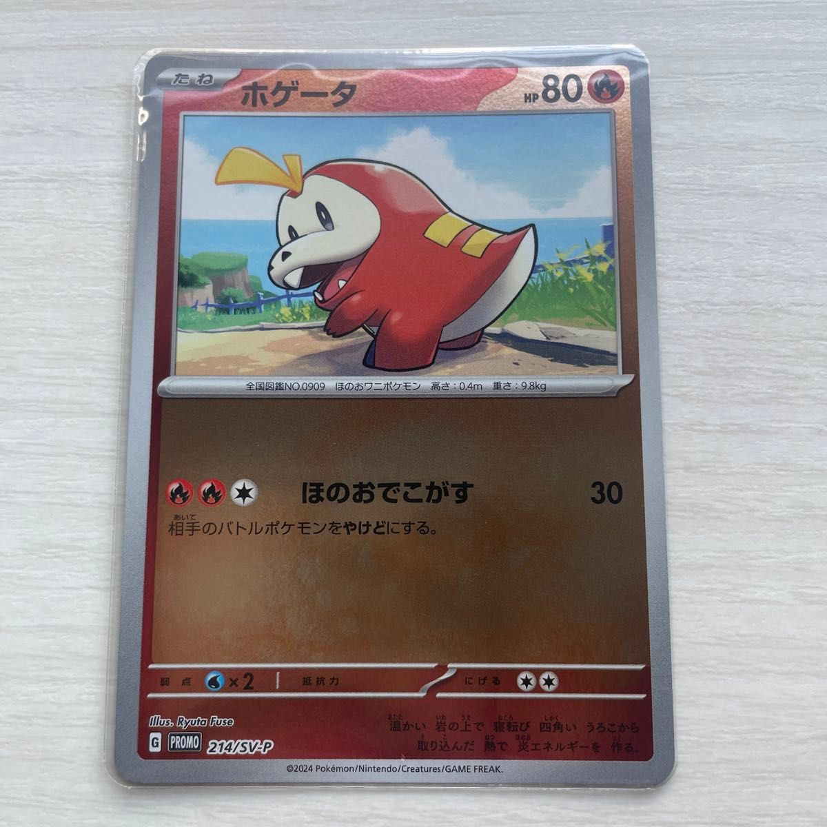 ポケモンカード ポケカの夏がキタ プロモ 4枚セット|Yahoo ポケモンカード ポケカの夏がキタ プロモ 4枚セット|Yahoo