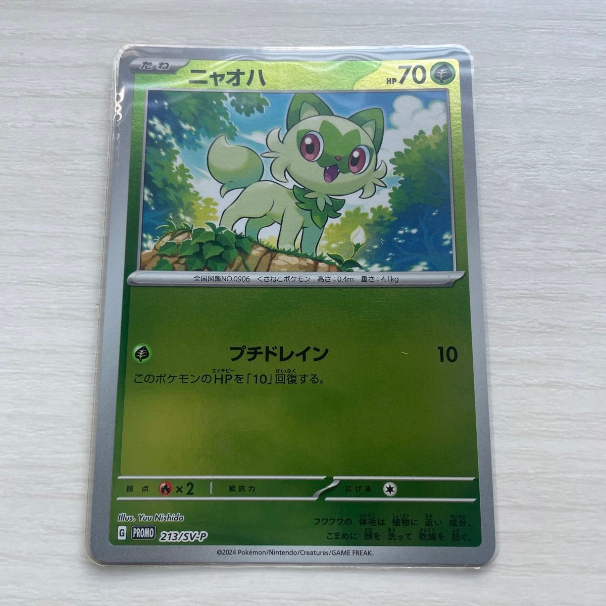 ポケモンカード ポケカの夏がキタ プロモ 4枚セット|Yahoo ポケモンカード ポケカの夏がキタ プロモ 4枚セット|Yahoo