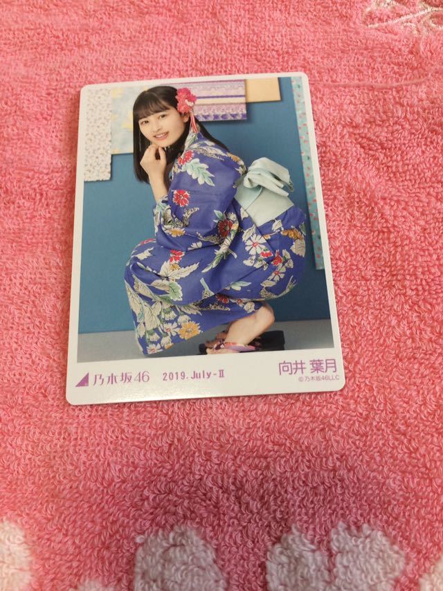 ★乃木坂46　生写真カード　2019年浴衣　向井葉月　座り★_画像1