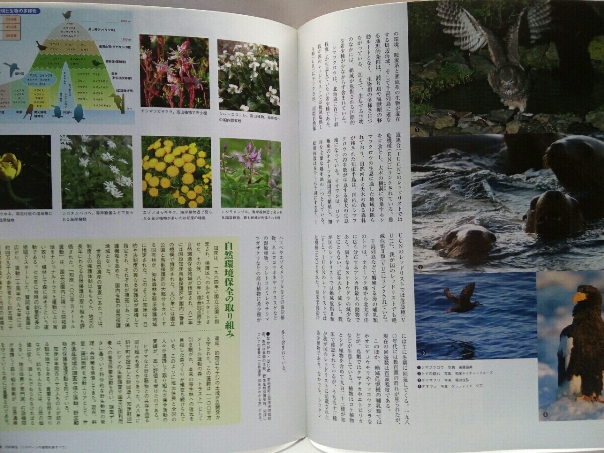 ◆◆週刊日本の世界遺産6知床◆◆地の果に遺された原生の自然・北海道☆ウトロ・羅臼・知床五湖・知床半島・根室海峡☆動植物オジロワシ他_画像8