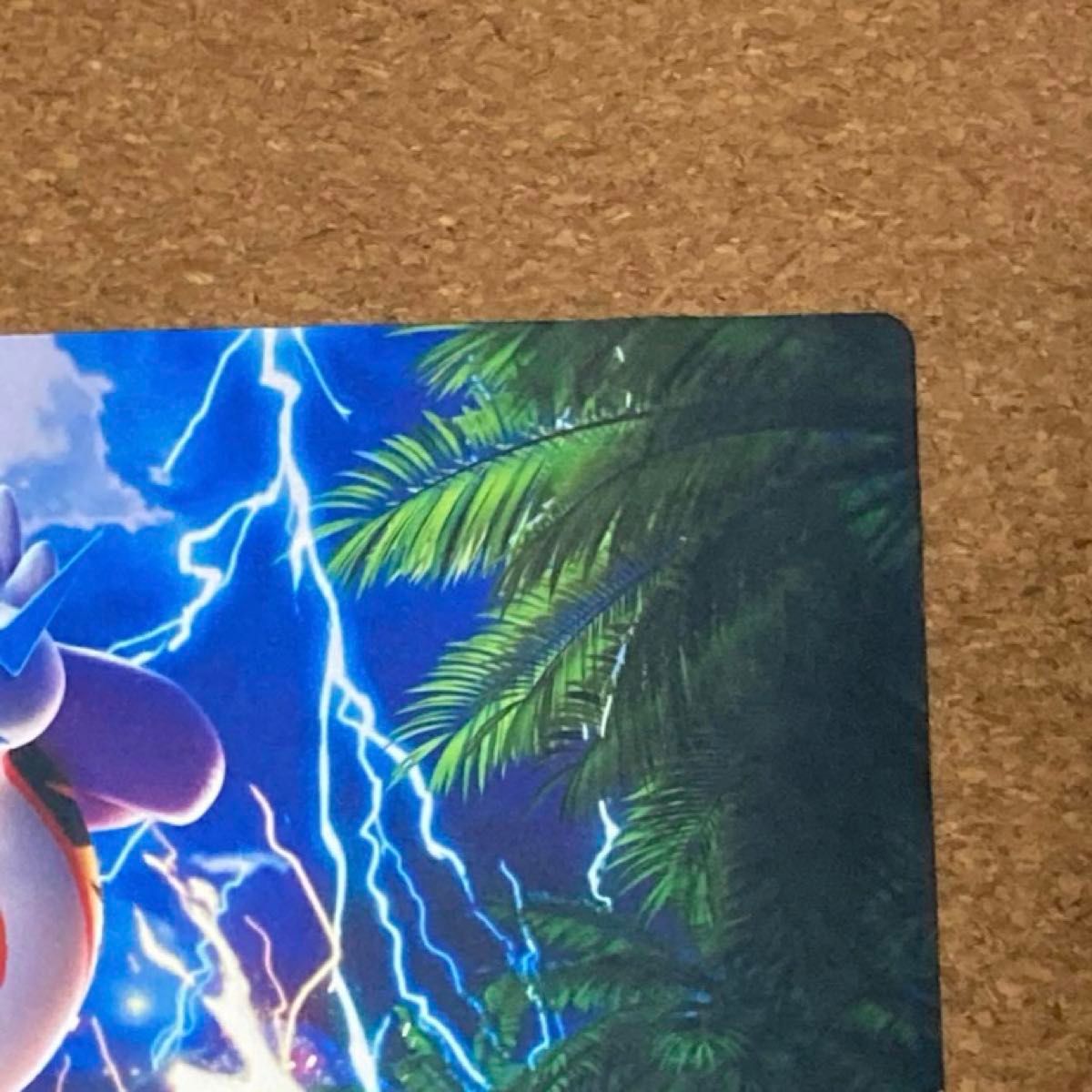 海外ポケモンカード タケルライコ プレイマット チャンピオン 海外ポケモンカード タケルライコ プレイマット チャンピオン