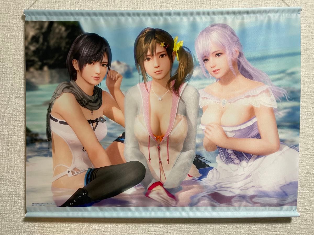 DEAD OR ALIVE Xtreme Venus Vacation B2タペストリー