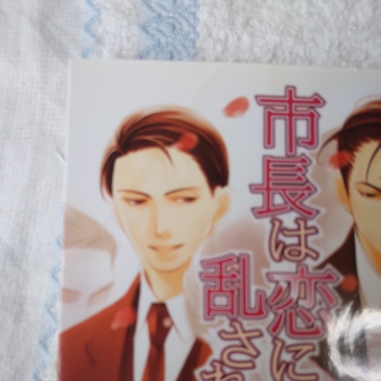日本yahoo代標 日本代購 日本批發 Ibuy99 市長は恋に乱される キャラ文庫 榊花月北畠あけ乃 日本yahoo代標 日本代購 日本批發 Ibuy99 市長は恋に乱される キャラ文庫 榊花月北畠あけ乃