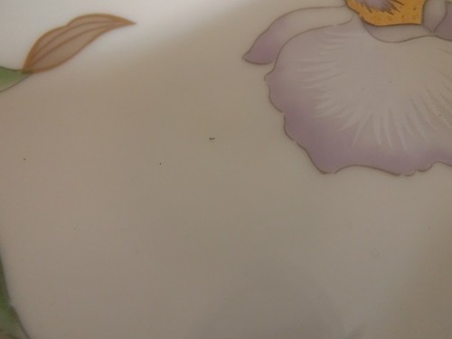 (30939)保谷謹製　ホヤ　和食器　銘々皿　胡蝶蘭　欄　皿　2枚セット　USED_神経質な方の入札はご遠慮ください。