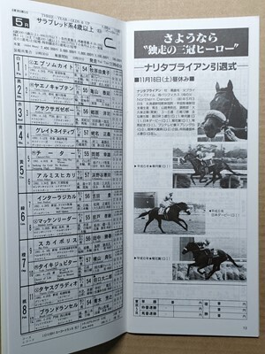 競馬 JRA レープロ961116東京 アル共エルウェーウィン ナイス 競馬 JRA レープロ961116東京 アル共エルウェーウィン ナイス